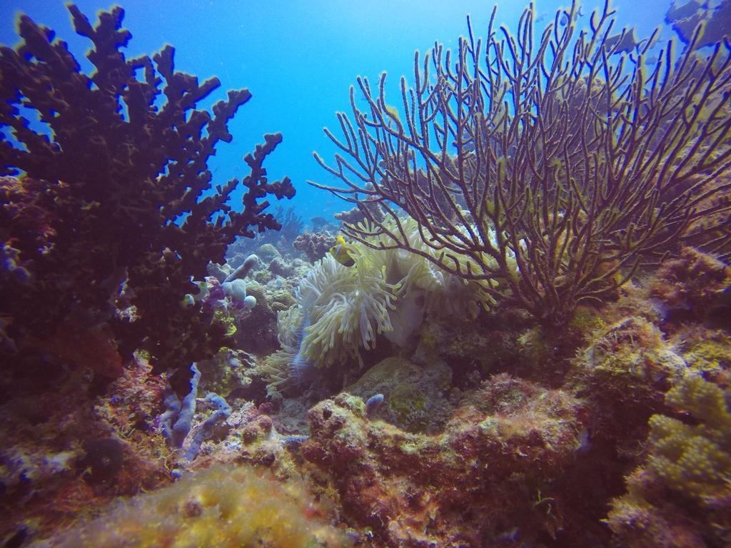 Holiday Home Rasdhoo 外观 照片